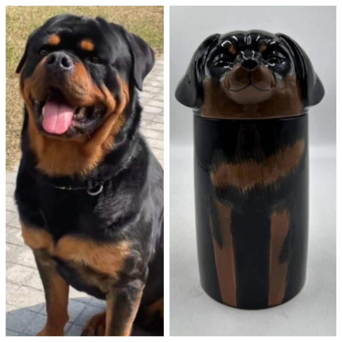 Dog urn | Pet urn| Pet ornaments - elysianpet