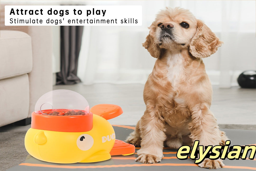 Pet toys, pet educational toys, pet feeders