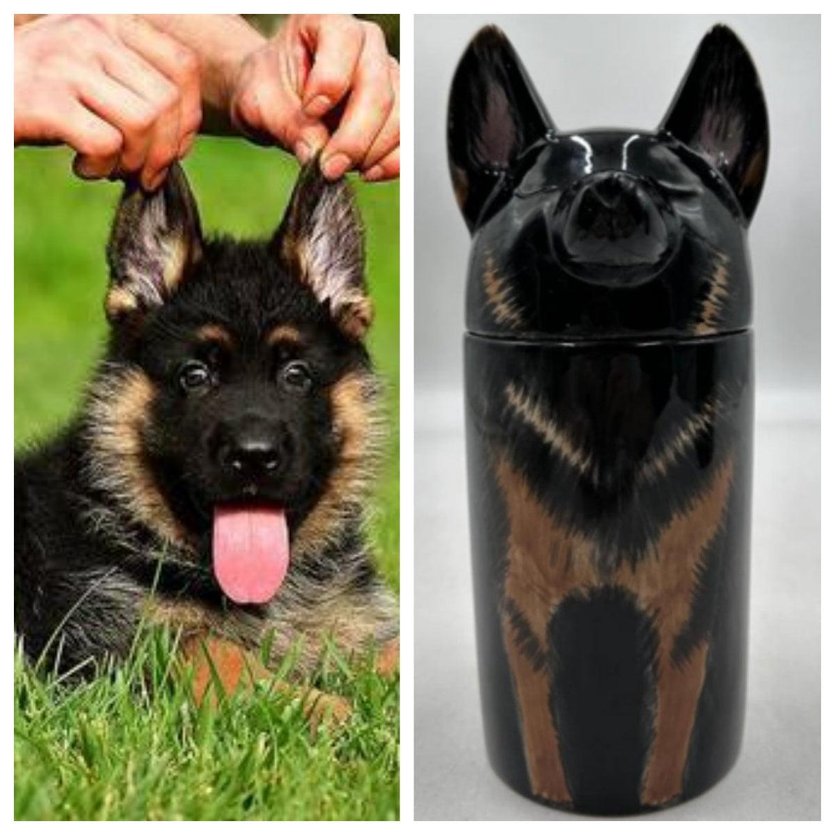 Dog urn | Pet urn| Pet ornaments - elysianpet