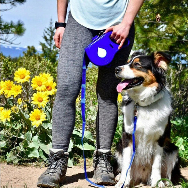 Image showcasing elysianpet 4-in-1 Dog Walking Companion