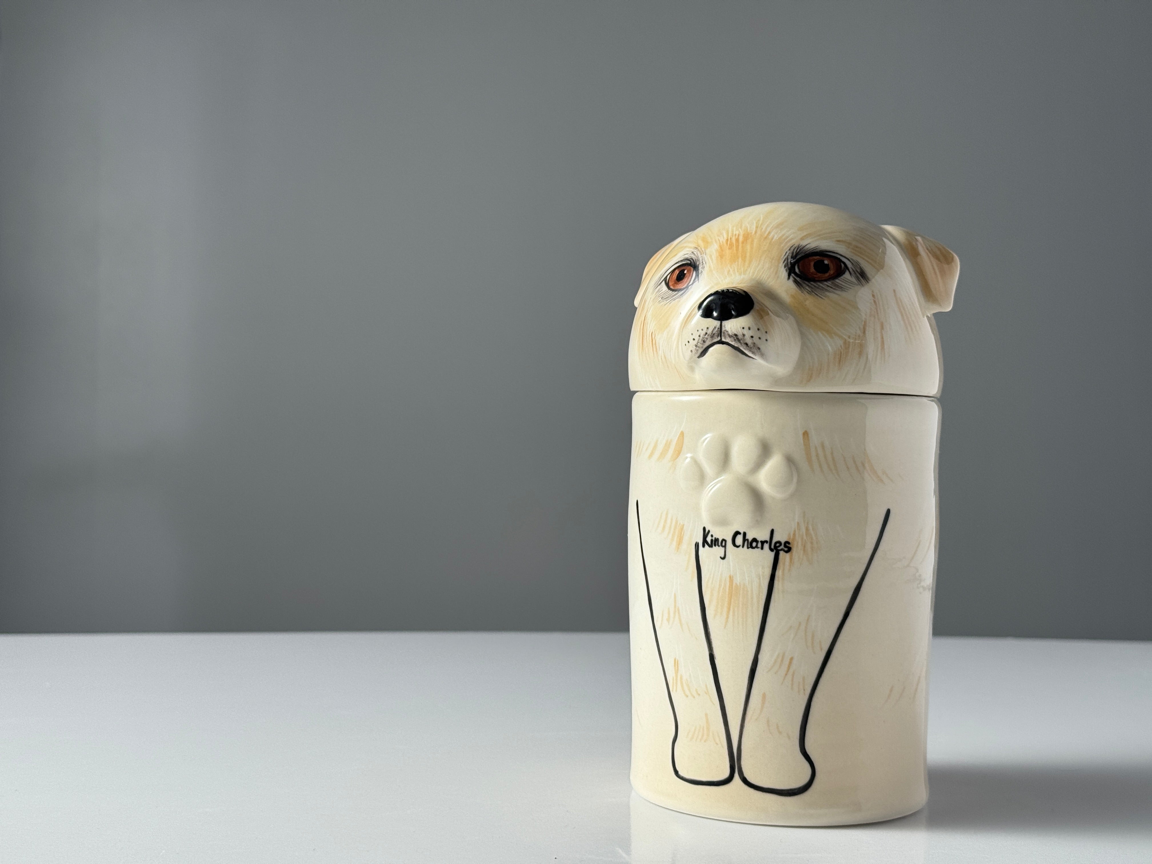 Dog-shaped ceramic jar with a gray background
