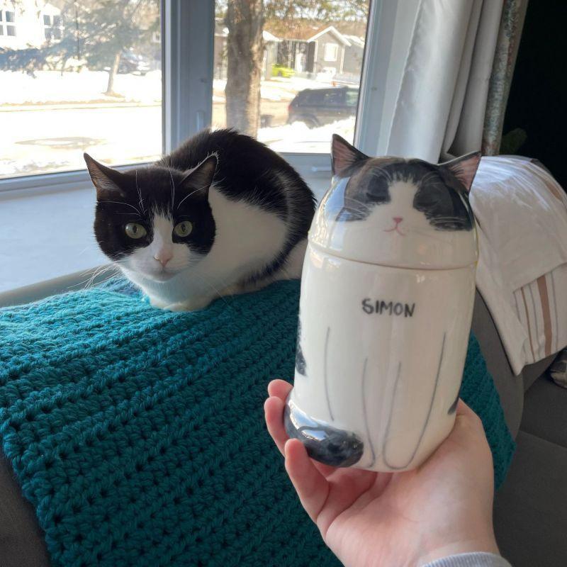 Cat Decorative Ornaments | Cookie Jar - elysianpet