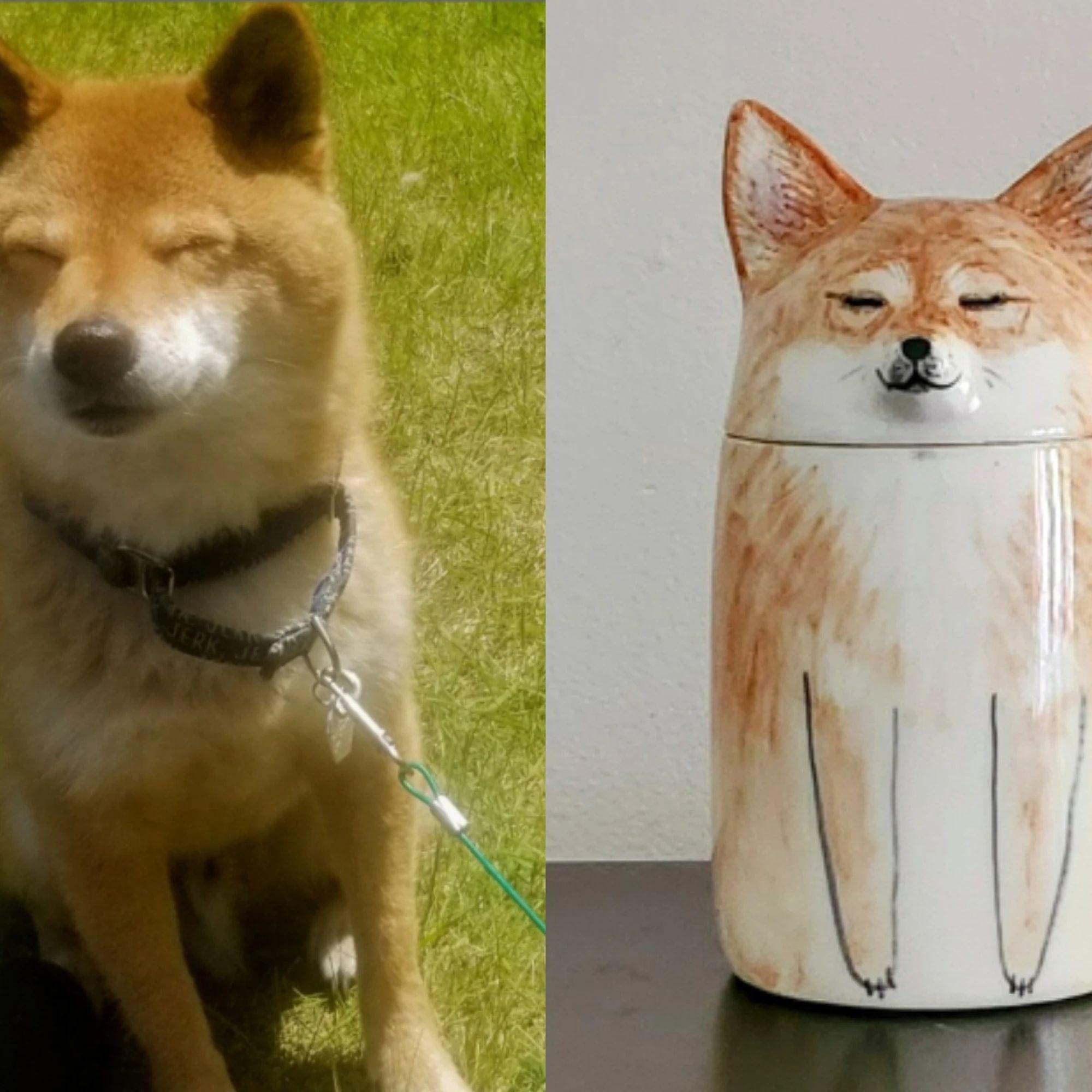 Dog urn | Pet urn| Pet ornaments - elysianpet