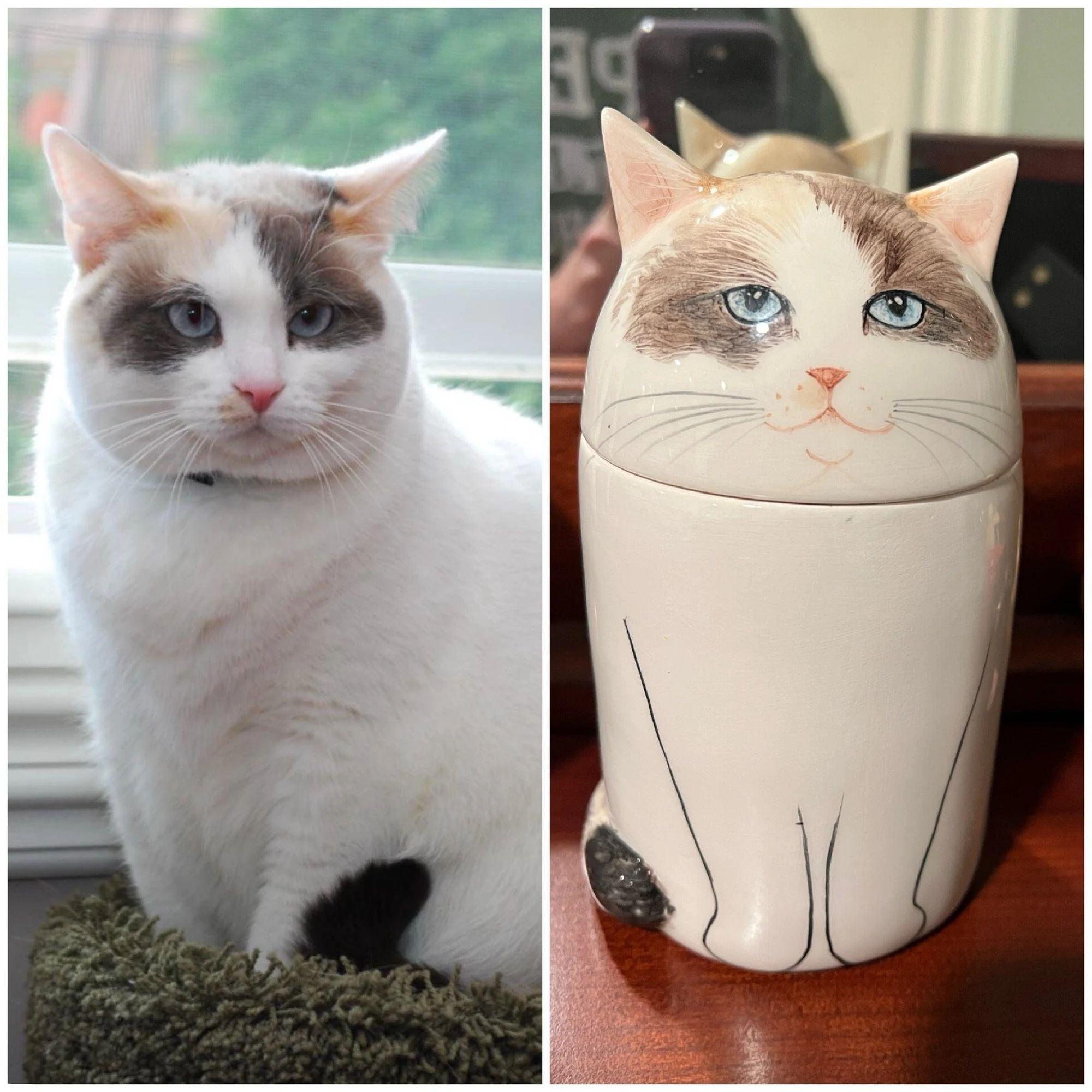 Cat Decorative Ornaments | Cookie Jar - elysianpet