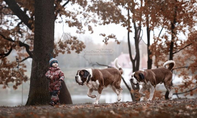 Personalized Great Dane urn displayed indoors on a mantel