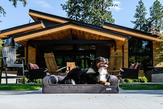 Handcrafted ceramic dog urn for a Bernese Mountain Dog, symbolizing loyalty, love, and eternal companionship.