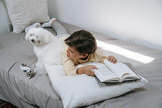Maltese dog sitting on white blanket with long silky fur