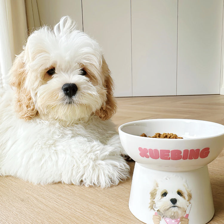 Pet custom tableware, pet tableware