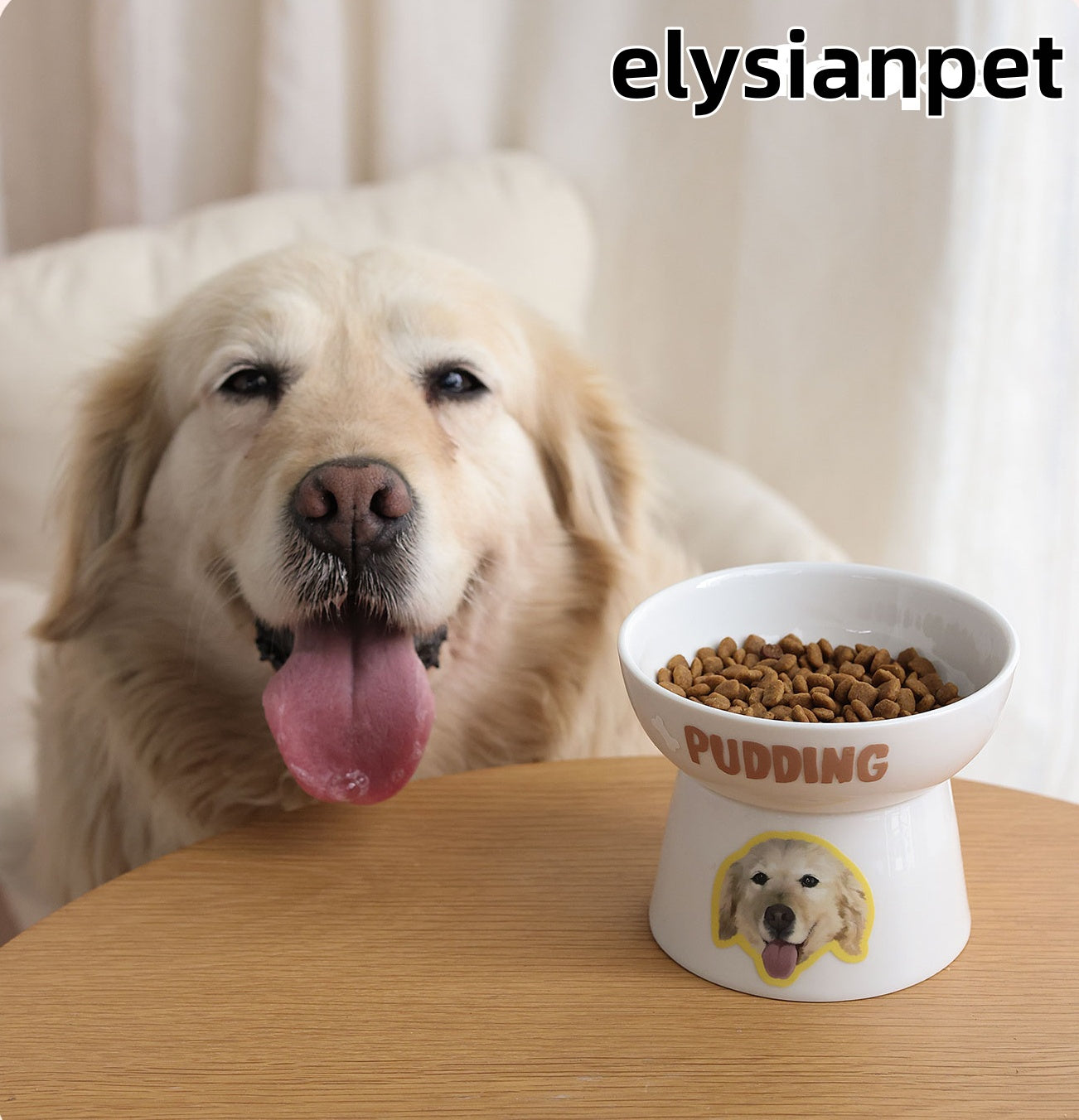 Pet Customized Ceramic Bowl