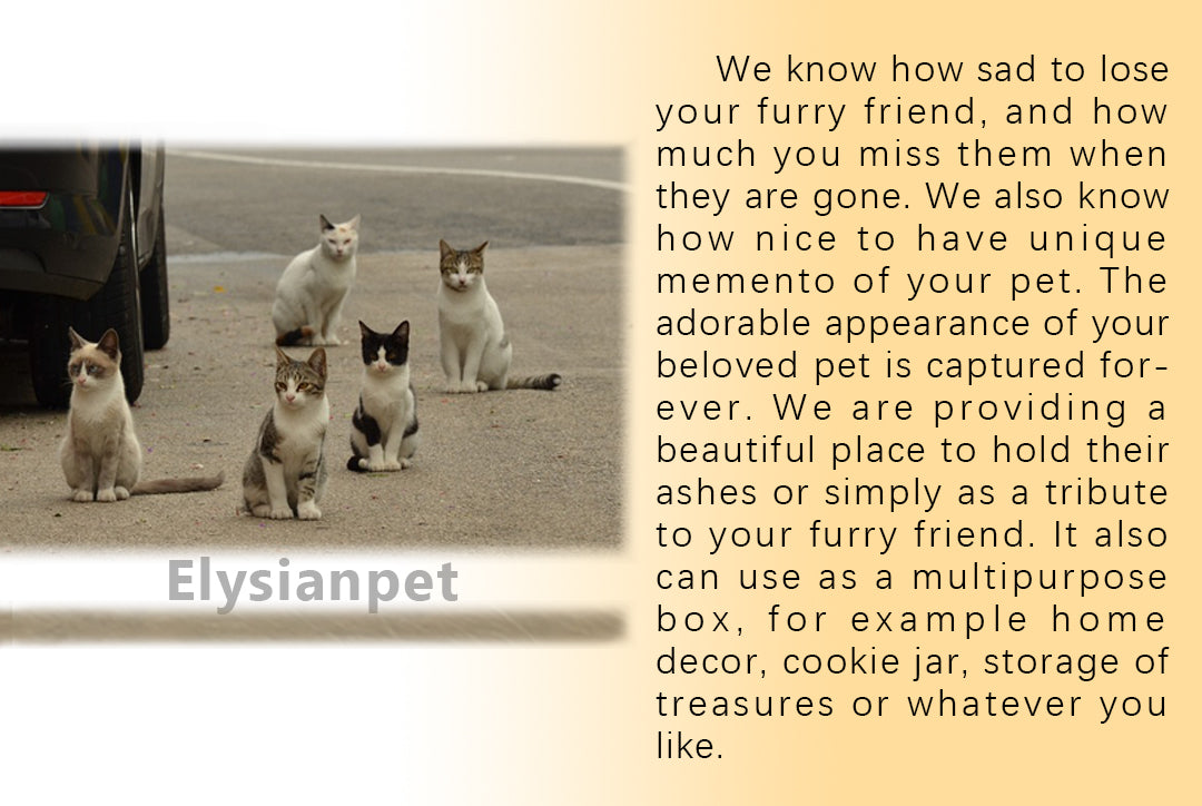 Pet customization, urn customization, pet urn customization, dog urn, cat urn, ceramic urn, pet's only urn