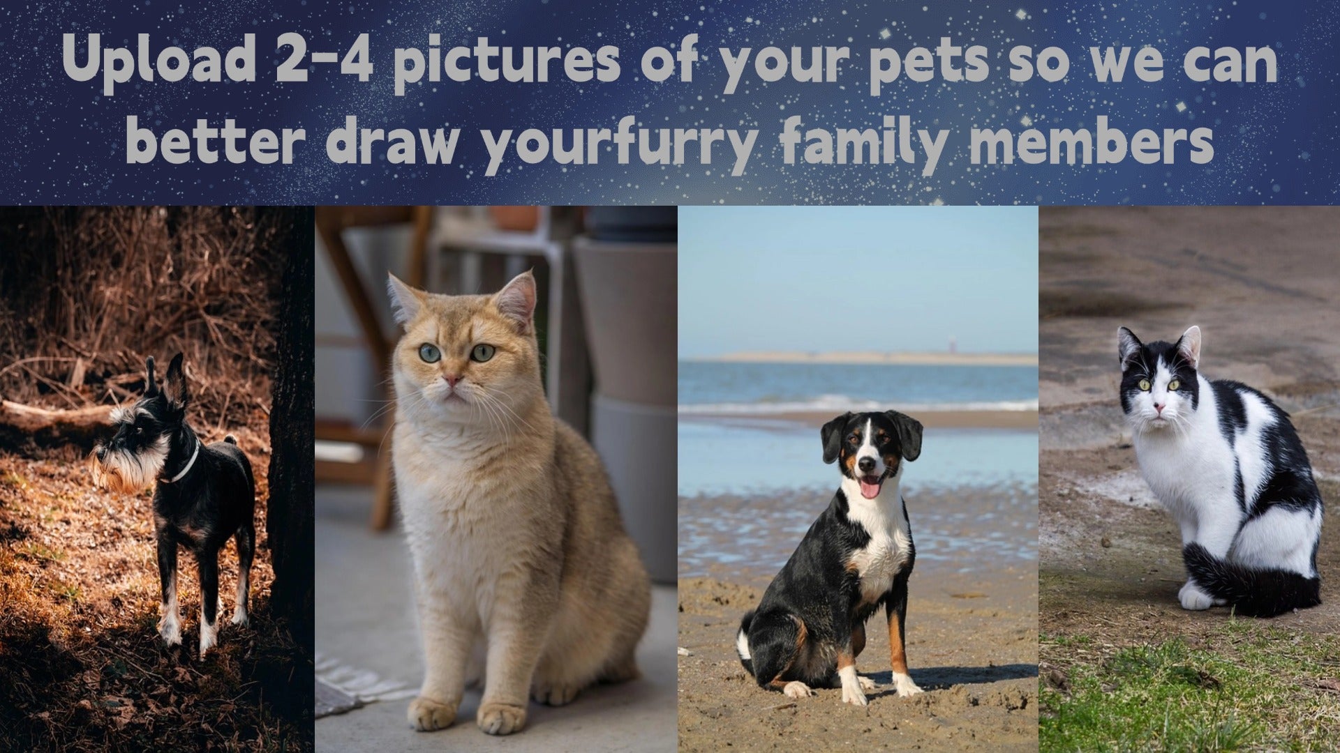 Pet customization, pet urn, custom pet urn