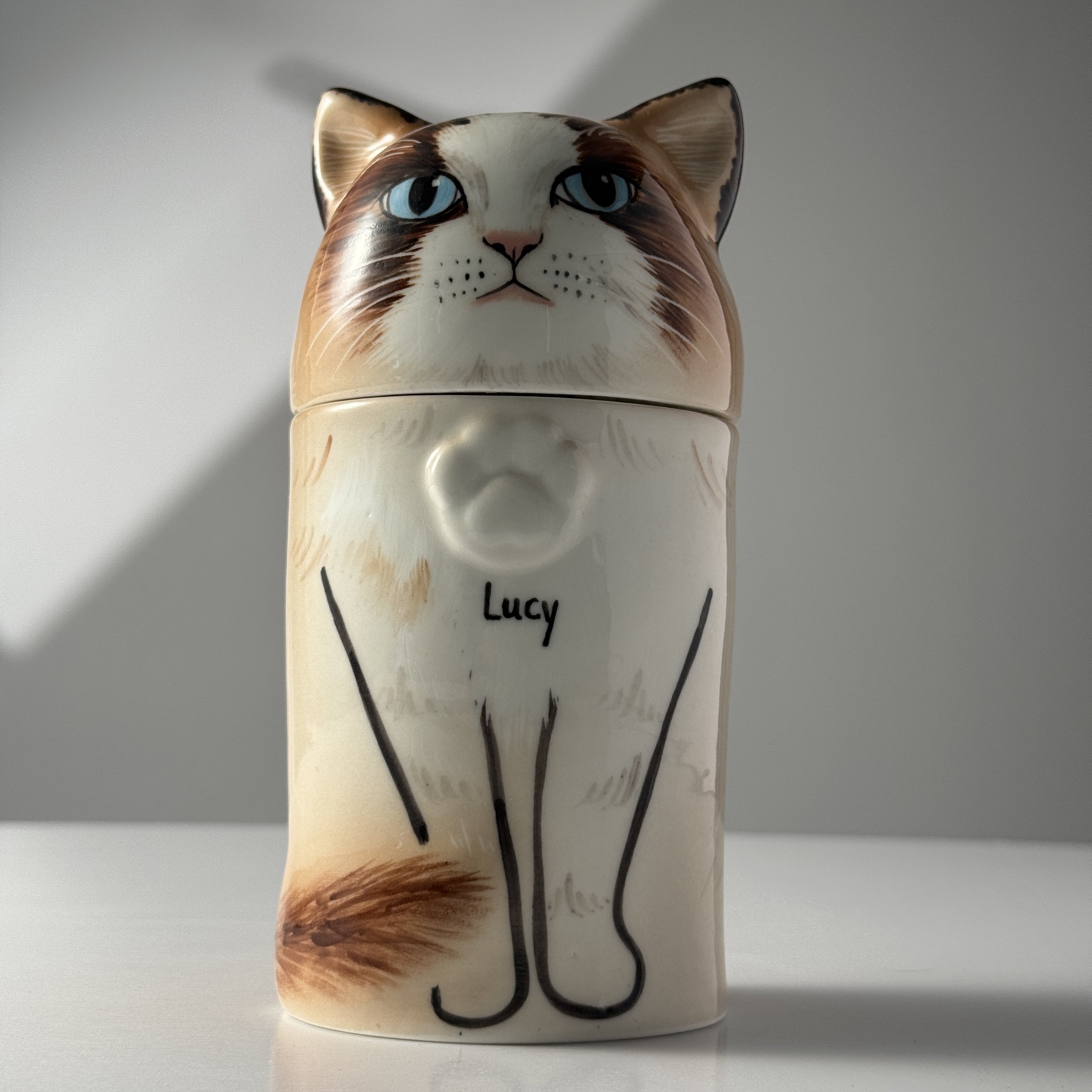 Cat-shaped cookie jar with 'Lucy' on a white background