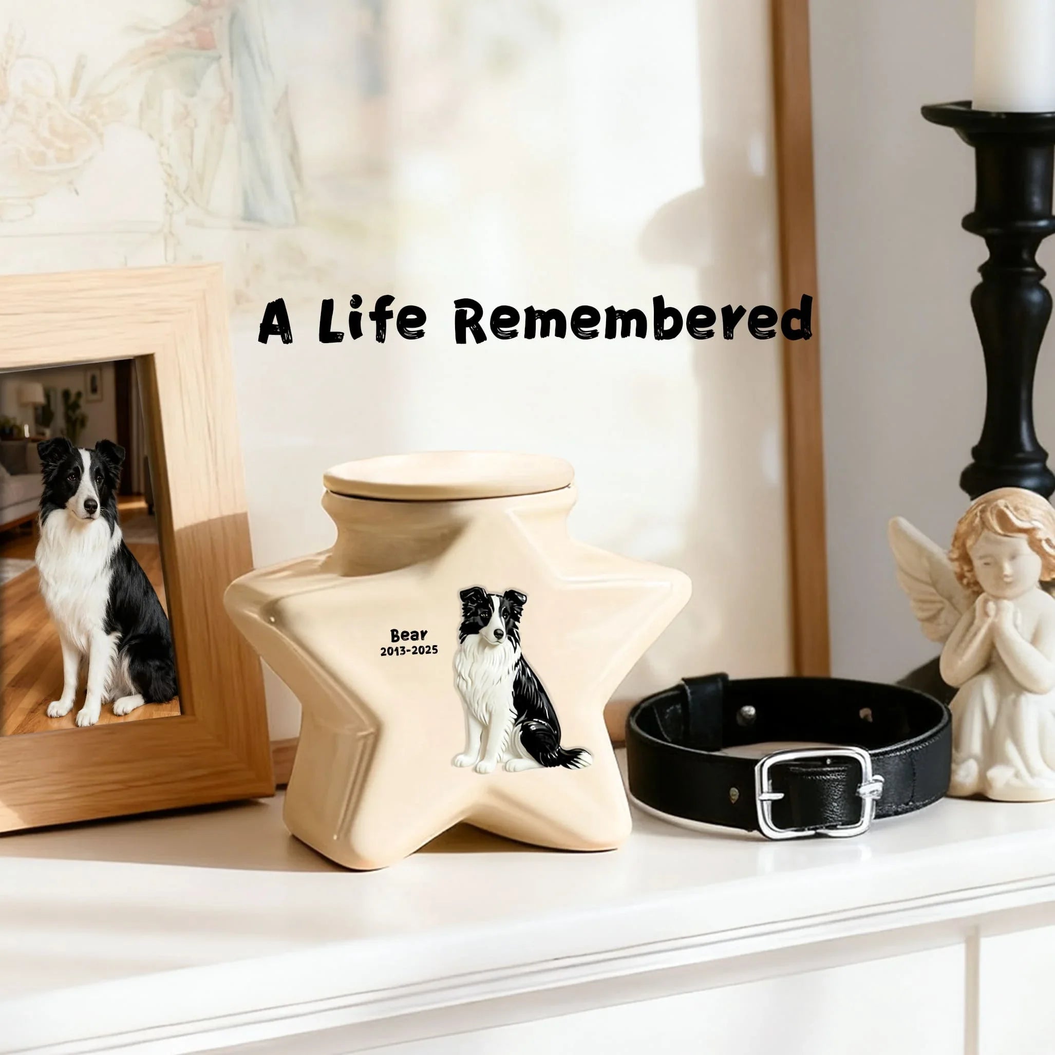 Ceramic Pet Urn - Custom Engraved Star Memorial Ashes Container