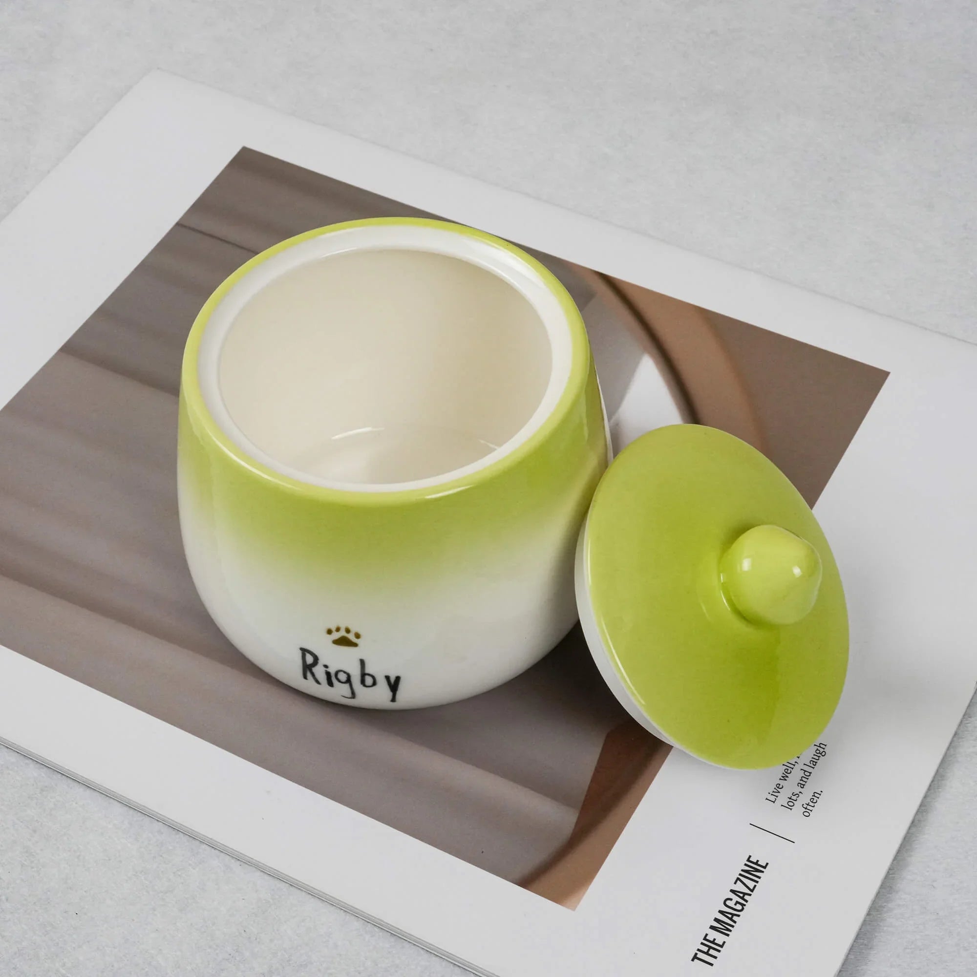 Green pet bowl with 'Rigby' branding on a magazine