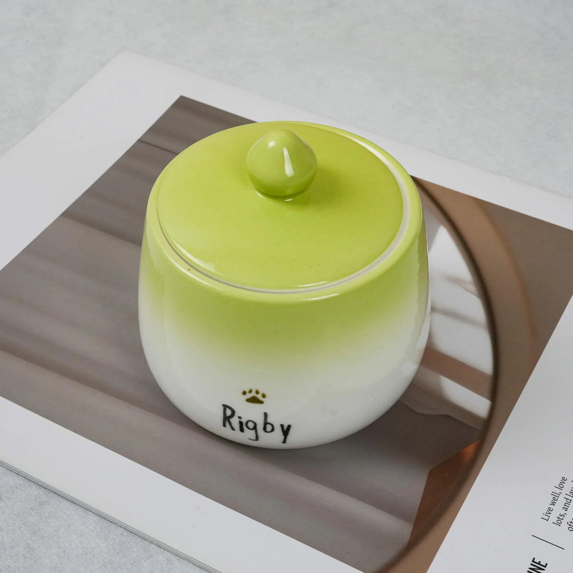 Artisan Hand-Painted Ceramic Pet Remembrance Jar