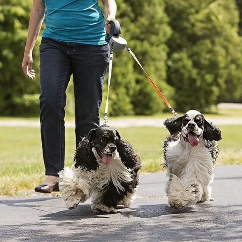 Dog leash, tangle-free leash, 360° rotating leash, one-to-two leash