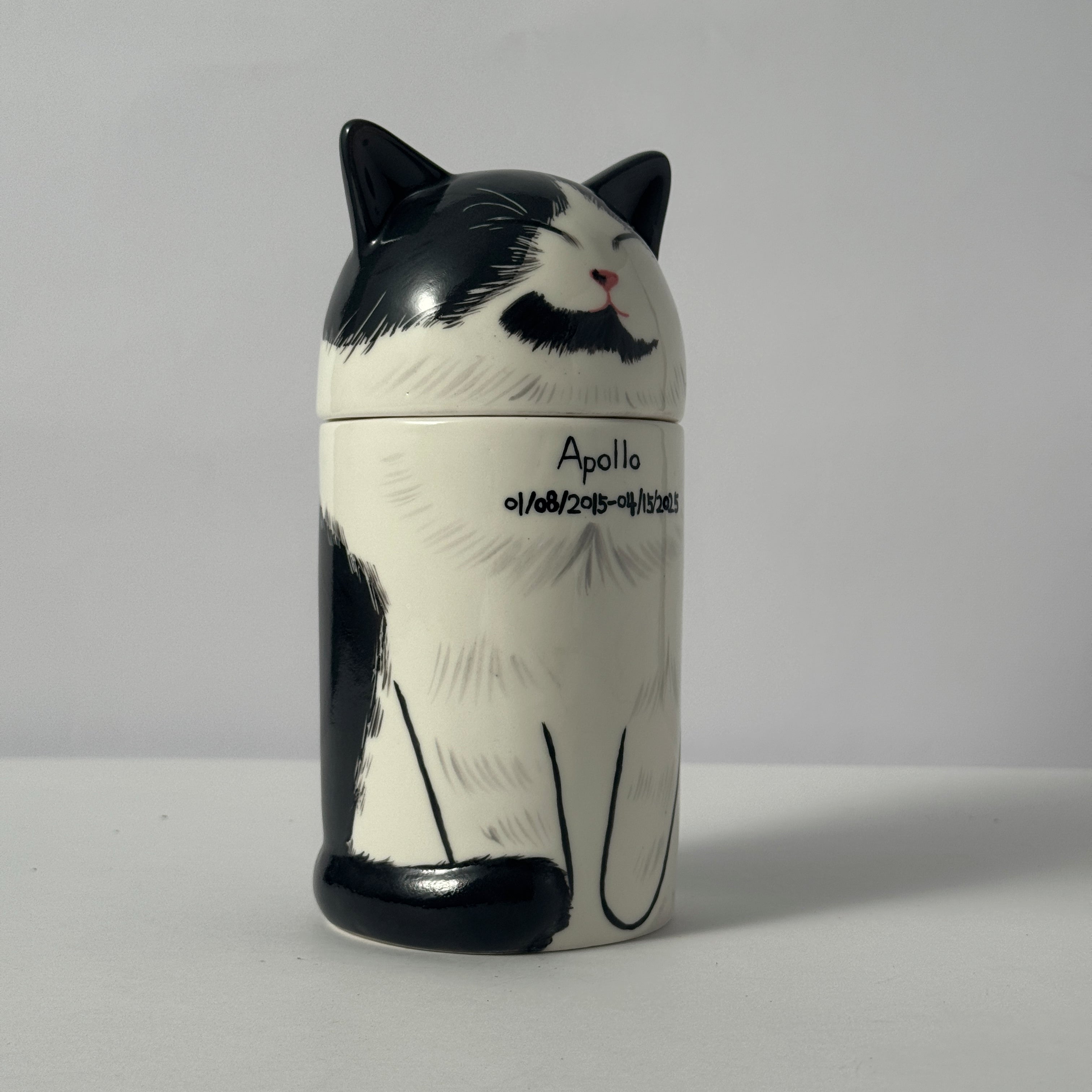 Personalized Cat Pet Urn Ceramic Kiln-Fired Hand-Painted Memorial