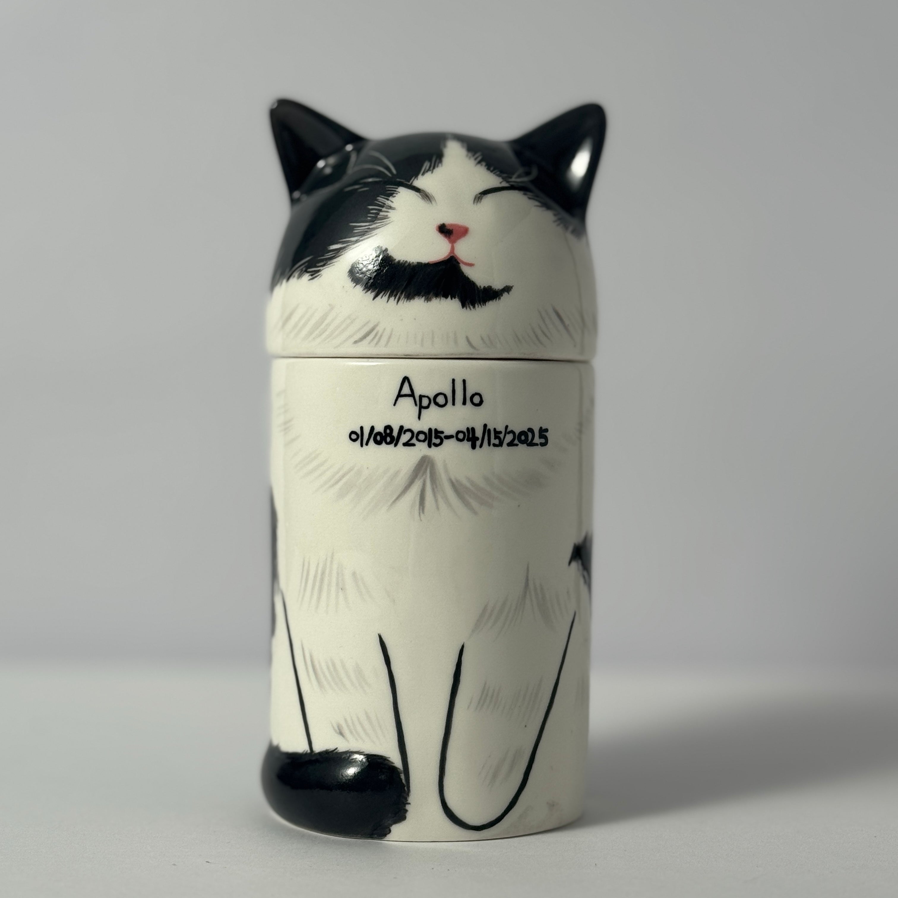 Personalized Cat Pet Urn Ceramic Kiln-Fired Hand-Painted Memorial