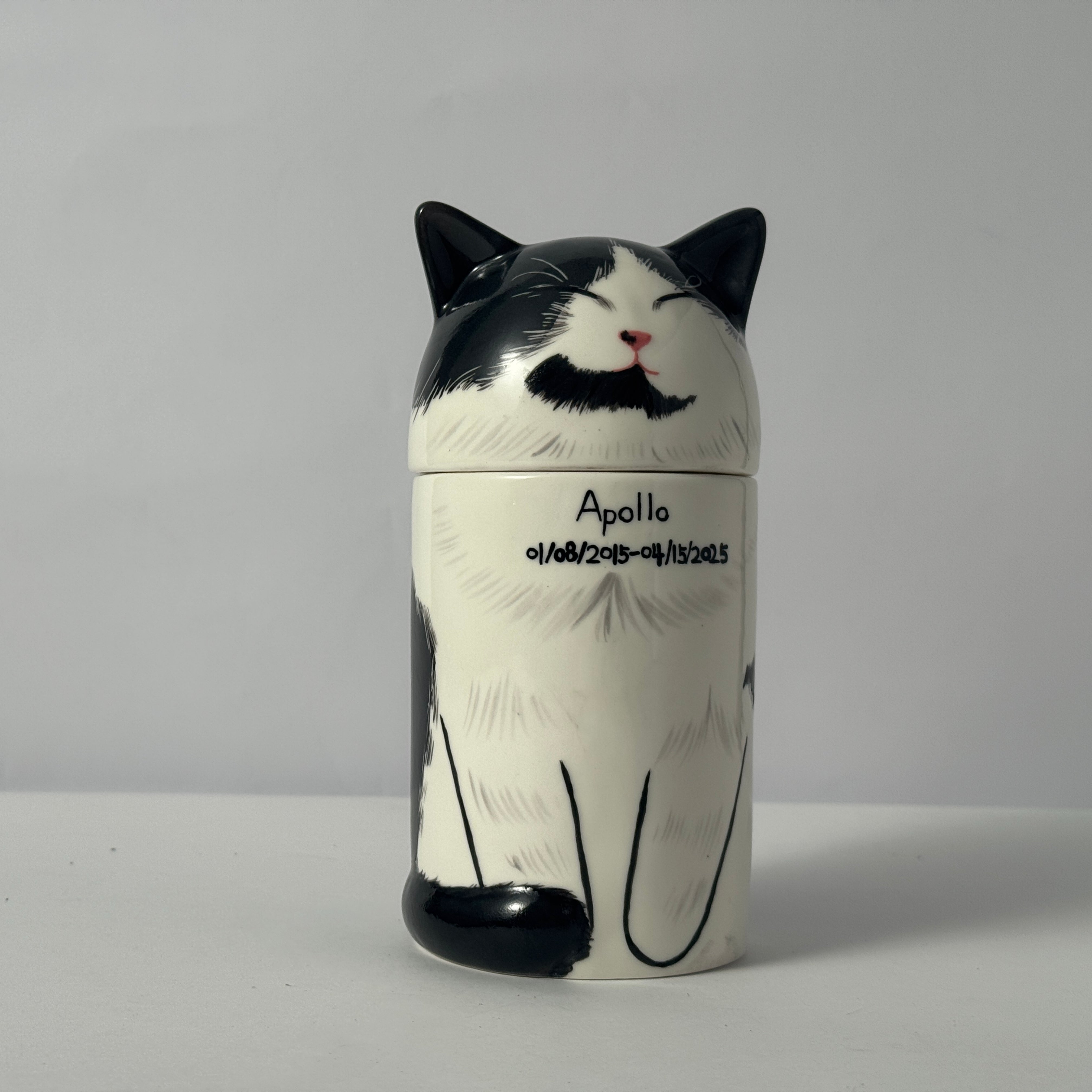 Personalized Cat Pet Urn Ceramic Kiln-Fired Hand-Painted Memorial