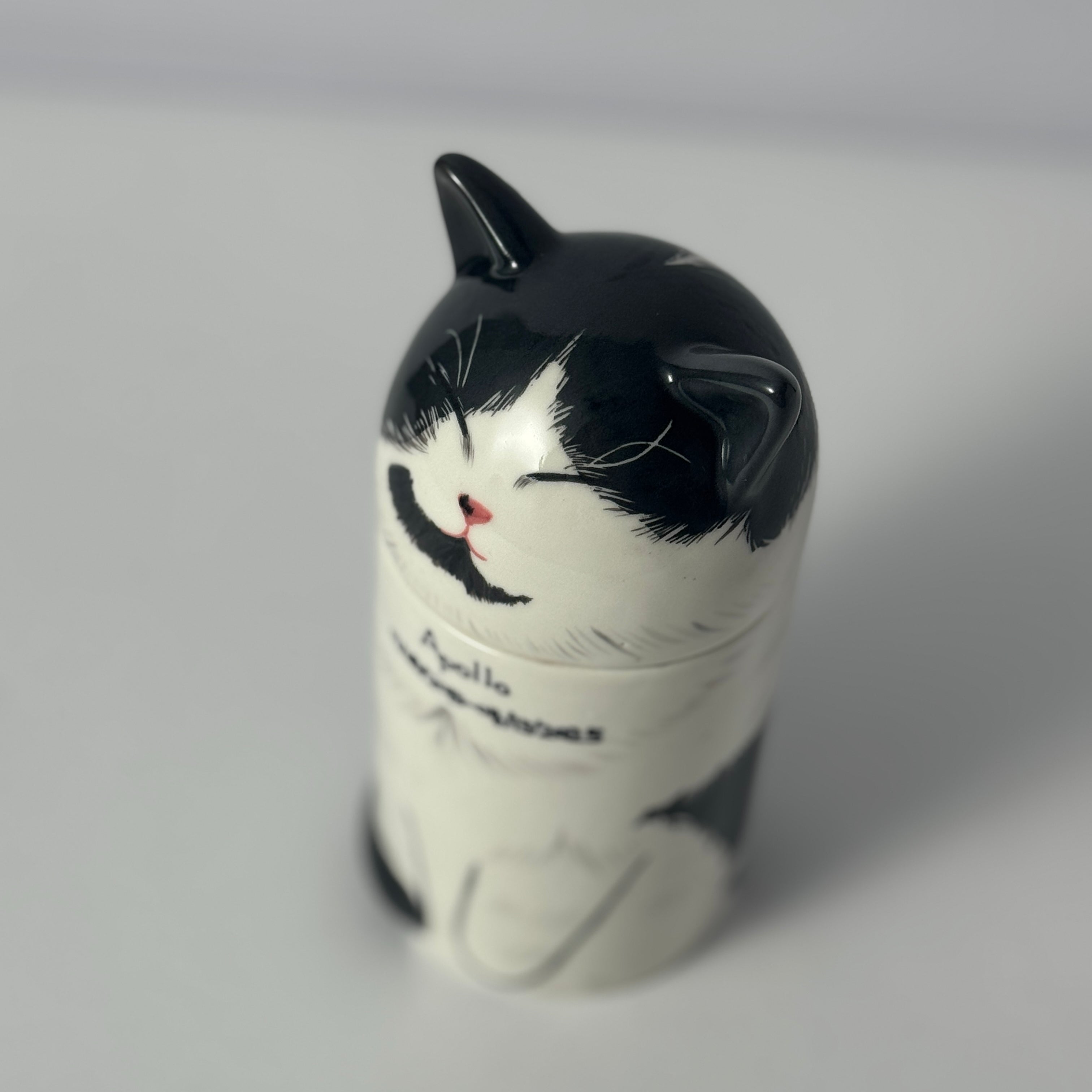 Personalized Cat Pet Urn Ceramic Kiln-Fired Hand-Painted Memorial